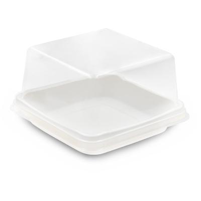 China Wholesale Disposable White Tray Lid Transparent Plastic Boxes For Cake Salad Packaging Food for sale