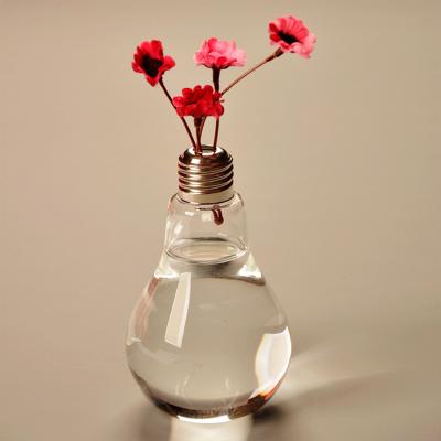 China Juice Terrarium Hydroponic Container Modern Style Plant Flower Vase Container Accessories Clear Hanging Bottle for sale