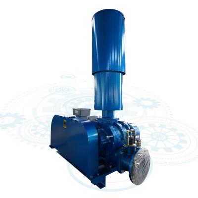 China Sewage Treatment SSR Tri Lobe Industrial Blower Rotary Type Blower Blower for sale