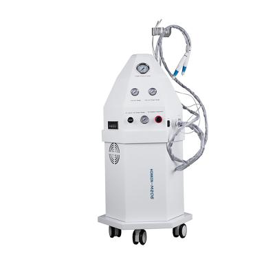 China Acne Treatment Spa Use 2 Handpiece Water Oxygen Therapy Hyperbaric Oxygen Jet Skin Machine for sale