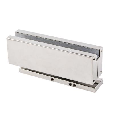 China Modern Hidden Patch Floor Spring Hinge , Heavy Duty Hydraulic Floor Spring Hinge for sale