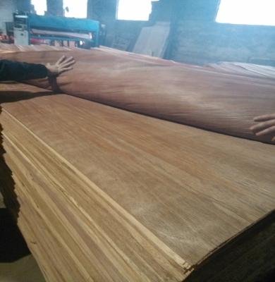 China Contemporary Natural Veneer 8x4 PLB Face Veneer for sale