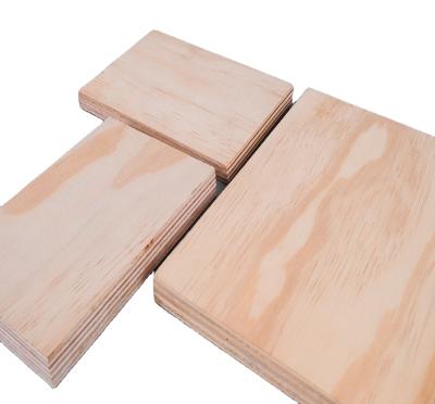 China Modern good quality professional plywood, pine plywood commercial plywood for sale