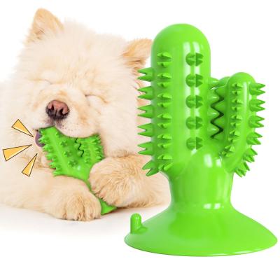 China Amazon Pet Viable Hot Selling Toy Teeth Sounding Cactus Shape Dog Chew Toy Ball for sale