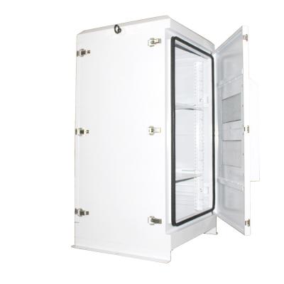 China IP65 Galvanized Sheet Outdoor Network Cabinet Outdoor Server Rack With Thermostat Temperature Control for sale