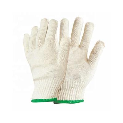 China Cheap & Breathable Dursafety Cleap Cotton Knitted Polycotton Hand Protection Gloves for sale