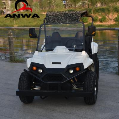 China 1500W-3000W Shaft Drive 10inch Electric Utv Side By Side Hunting for sale