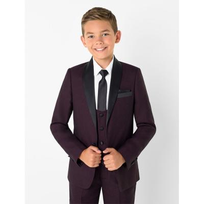 China China Factory Formal Burgundy Boys Clothing Slim Fit Baby Boy Suits For Wedding for sale