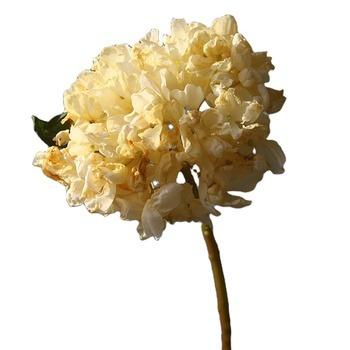 China Factory Wholesale Artificial Hydrangea Preservative Silk Wedding Dried Artificial Flowers For Wedding Decoration for sale