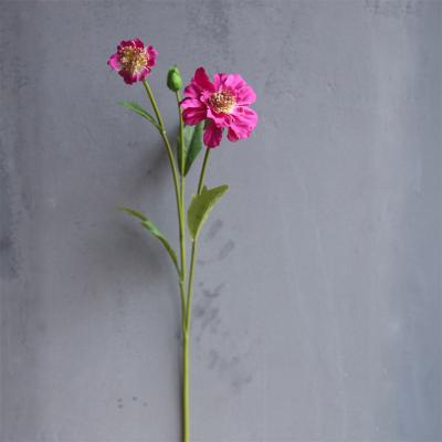 China Silk New Daisy Flower Artificial Flower Decoration Does Not Fade Small Fake Daisies Home Decor Flower for sale