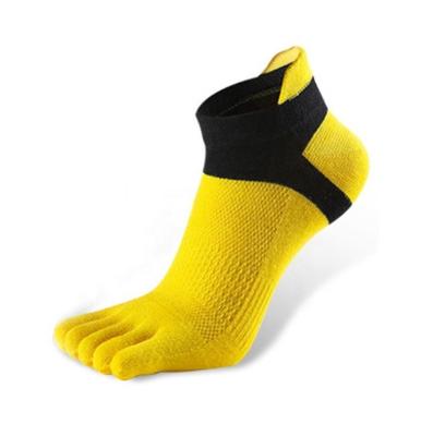 China Antibacterial Antibacterial Women Men Five Fingers Autumn Sweat Absorbent Low Cut Socks for sale