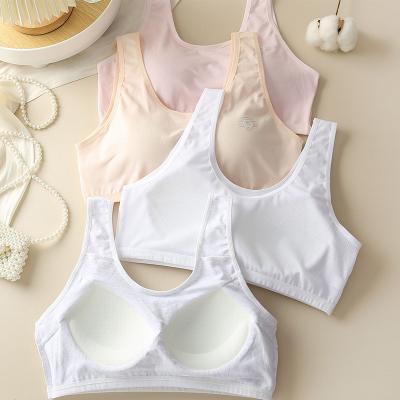 China One-Piece Girls Shaping Bras Teenage Kids Lingerie Puberty Girl Underwear Tops Girls Teen Underwear Small Clothes Child Bra for sale