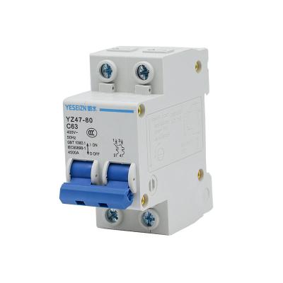 China 2 Pole Circuit Breaker AC 230/400V 2 AC MCB DZ47 for sale