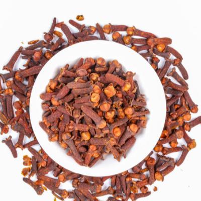 China Top quality China factory price dry hot selling seasoning export price of cloves for sale