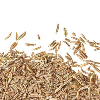 China India Blaq Suitable Quality Cumin Seed Guaranteed Dry Cumin Seed Indian Cumin for sale