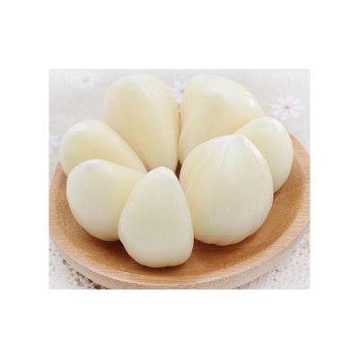 China Import Fresh Garlic Mesh Bag Bulk Price New Normal White Culture Fresh Garlic for sale