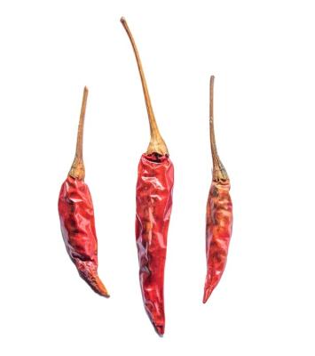 China Dried Premium Sun Dried Chilli Pepper Pods Without Stem for sale