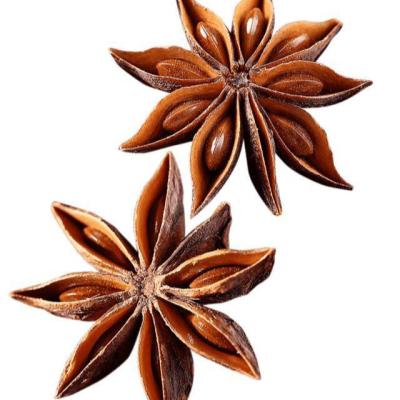 China Dried Made in China Premium Organic Star Anise Whole Star Anise for sale