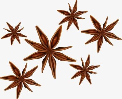 China Quality Appropriate Prices Organic Star Anise Aniseed Star Anise Star Anise Flower Guaranteed Organic for sale