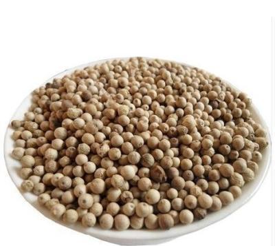 China International dry black pepper prices for sale