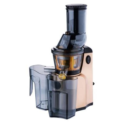 China 2022 new car promotion slow juicer fruit fruit juicer commercial portable blender for sale