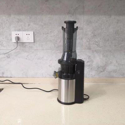 China Pineapple Juicer Blender 2022 Professional Easy Handling Slow Blender for sale