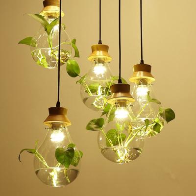 China Modern Home Decoration Lamp Bar Restaurant Plant Hydroponic Chandelier for sale