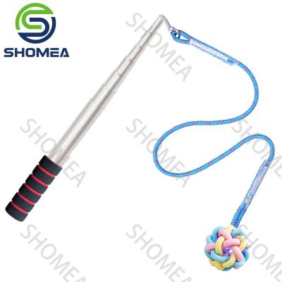 China Custom Retractable Pet Dog Interactive Chew Toys Set Dog Stick for sale