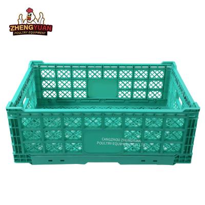 China Farm Transport chicken Chicken Transport Cage Chicken farm Equipment Plastic foldable turnover crate plasticfolding crate collapsible box for sale