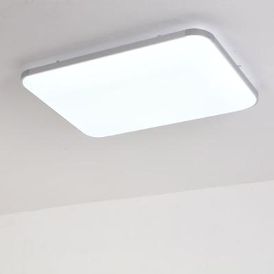 China Outdoor Mounted Aluminum Ceiling Lamp Led Surface Mounted Led Acrylic Ceiling Light for sale