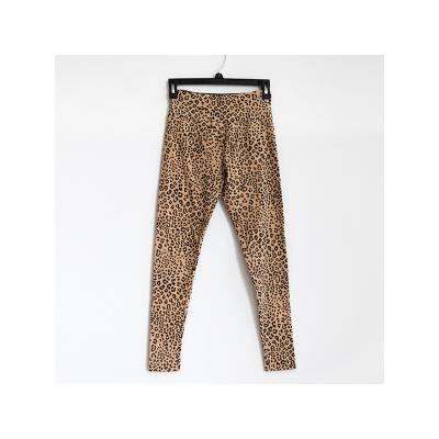 China Summer QUICK DRY Spring Women's Leopard Print Cotton Pants With Wild Leopard Print Seamless Breathable Anti-shrinked for sale