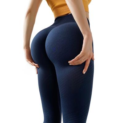 China Seamless Knitted Running Sweat Pants Women Breathable Yoga Gaiters Fitness Pants Women Moisture Absorption Sweat Pants for sale