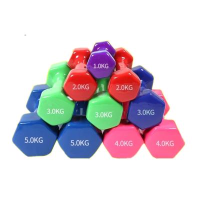 China Home Use High Quality Customized Compact And Beautiful Vinyl Coated Dumbbells Colored Neoprene Waterproof 10 Kg Dumbbells for sale