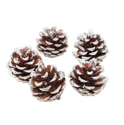 China Christmast Ornamental Snow Flocked Christmas Pine Cones Ornament Natural Dry Pine Cones Crafts Fall Winter Holiday Christmas Decoration Supplies for sale