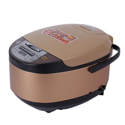 China 2021 High Quality Household Kitchen Appliances EU Plug In 220v Household Multi Cooker Smart Functional Electric 5L Rice Cooker for sale