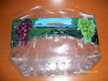 China new style anticorrosion grape bag,cherry bag,fruit bag for sale