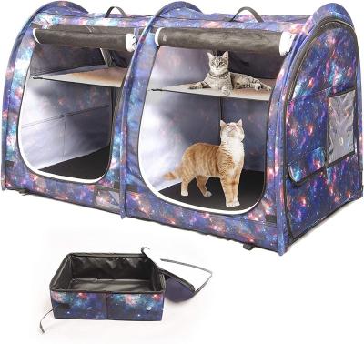 China Sustainable 2-in-1 Portable Pet Carrier For Medium Dogs Large Cat Carrier For 2 Cats Travel Double Dog Crate Set With Portable Carry for sale