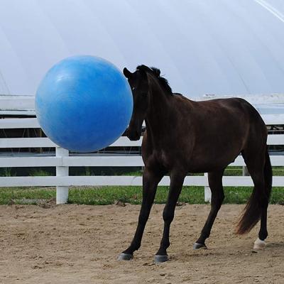 China Viable Large Anti-Splash Giant Horse Ball Horse Soccer Ball, Pump Included for sale