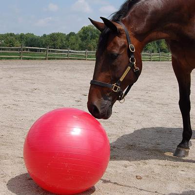 China Large Sustainable Horse Ball Toy in Blue, Giant 40in Anti-Splash Horse Ball Horse Soccer Ball, Pump Included for sale