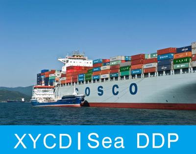 China DDP Sea Shipping FBA Forwarder Shipping From China To USA Canada Japan Sea DDP DDU Sea ddp for sale