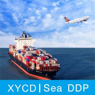 China 2022 hot sale low price DDP sea freight DDP to Canada USA Japan sea ddp for sale