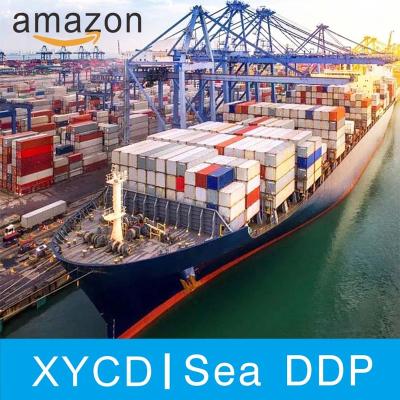 China 2022 Hot Sale DDP Competitive Price Ocean Freight Forwarder DDU DDP Sea DDP for sale