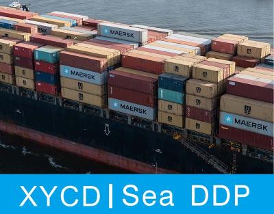 China FBA Warehouse Independent Sea Warehouse Shipping Freight Forwarder From China To USA DDU DDP for sale