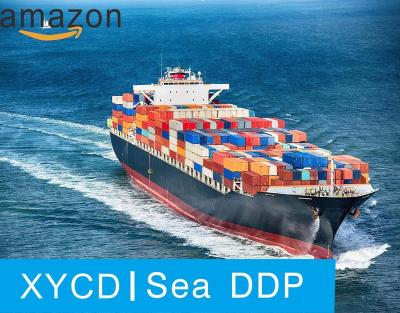 China Professional DDP international cheap shipping agent from China to sea DDP from USA, Canada and Japan for sale