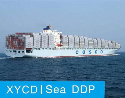 China DDP International Freight To USA, China To Japan Air Freight Agent Sea DDP for sale