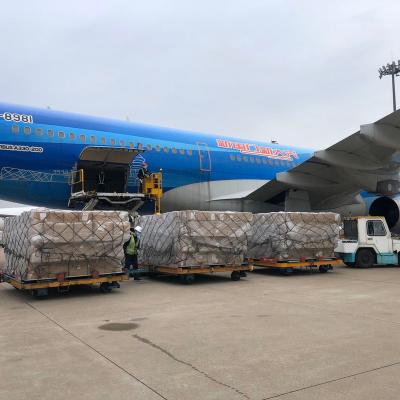 China Far Xin ChengDa United States Canada DDP International Freight Forwarders door to door for tax package sea ddp for sale