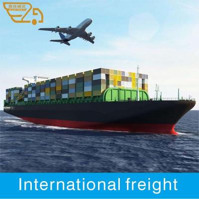 China China Cheapest Ocean Freight Forwarder To USA Canada Cargo Sea DDP for sale