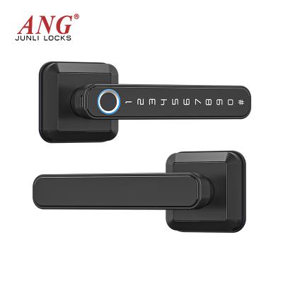 China Best Security Durable High Security Door Lock Fingerprint And Mobile Digital Keypad Lock Handle Smart Lock for sale