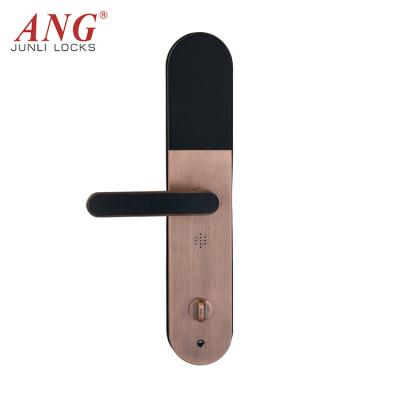 China Durable High APP Remote Control Security Digital Keypad Electric Passcode Security Door Anti-theft Swinging Smart Sliding Lock for sale