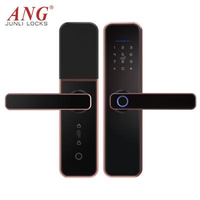 China Office Home Durable High Security Security Biometric WiFi Electronic Fingerprint Remote Open Tuya Door Lock for sale